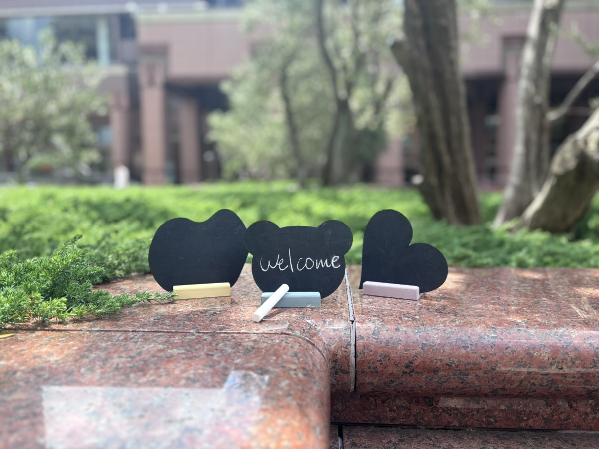 【Wooden Toy】おえかきボード